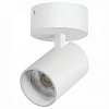 Спот Lightstar Alta Base A5346SO 100_100_3090463